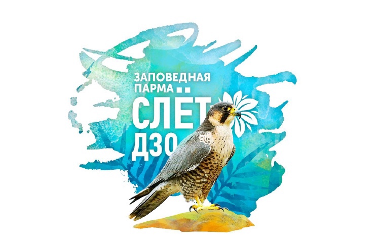 Юннаты Первых на слёте Друзей Заповедных Островов — «Заповедная Парма».