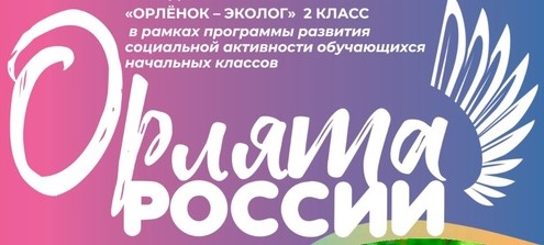 Реализация трека «Орлёнок-эколог».